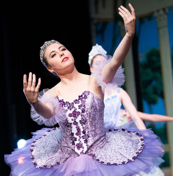 Performance Opportunities Los Gatos Ballet