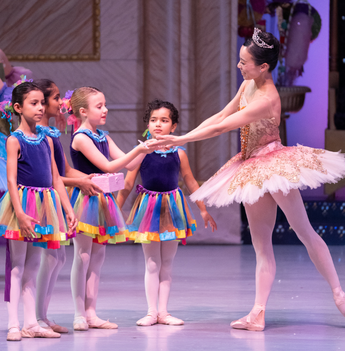 Nutcracker-Performance_Support.webp